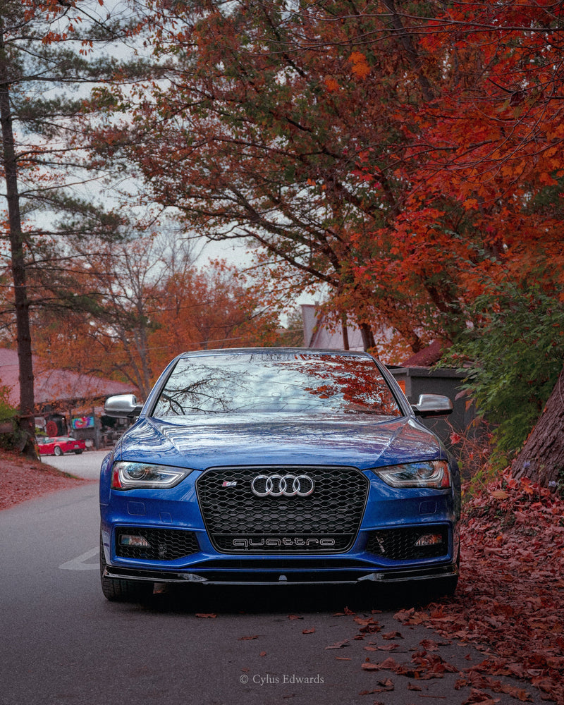 2014 Audi RS4 Honeycomb Grille Quattro | B8.5 Audi A4/S4